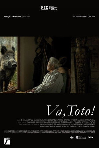 Go, Toto! poster