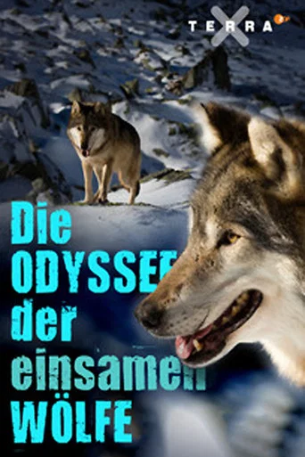 Movie poster for Die Odyssee der einsamen Wölfe (2016)