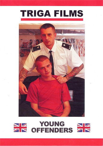 Movie poster for Young Offenders (2015)