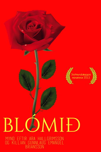 Movie poster for The flower (2013)