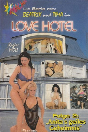 Movie poster for Love Hotel 2: Anitas geiles Geheimnis (1997)