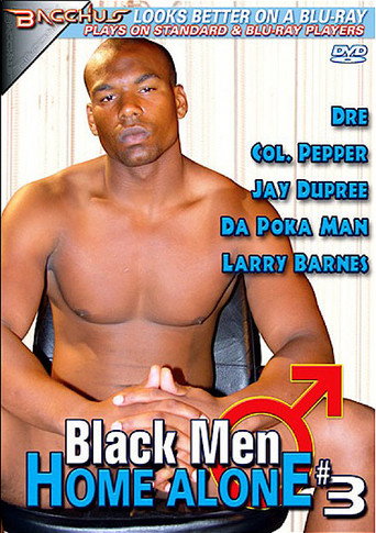 Movie poster for Black Men Home Alone 3 (2009)