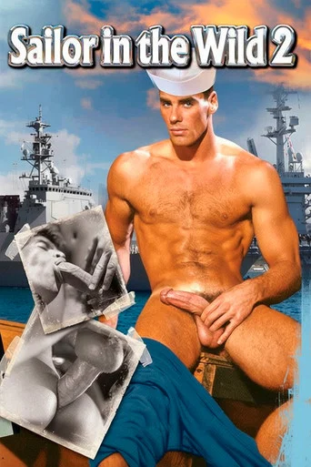 Movie poster for Sailor in the Wild 2 (1990)