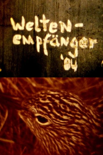 Movie poster for Weltenempfänger (1984)