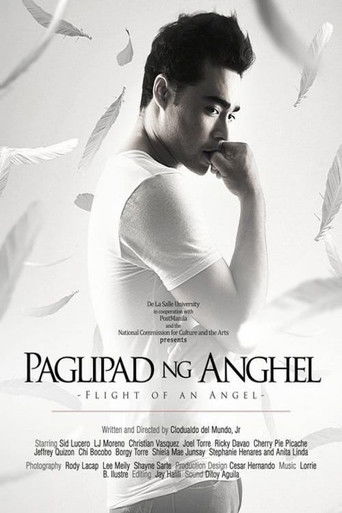 Flight of an Angel poster