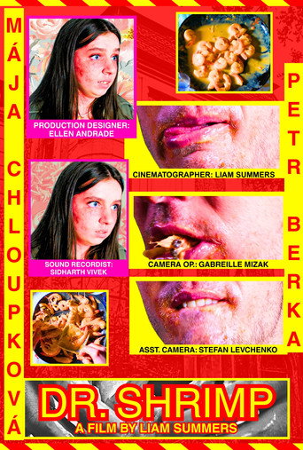 Movie poster for Dr. Shrimp (2025)