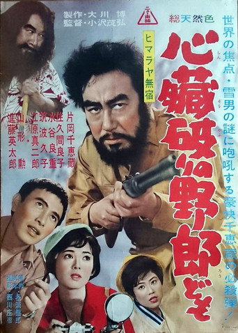 Movie poster for Himalayan Wanderer (1961)