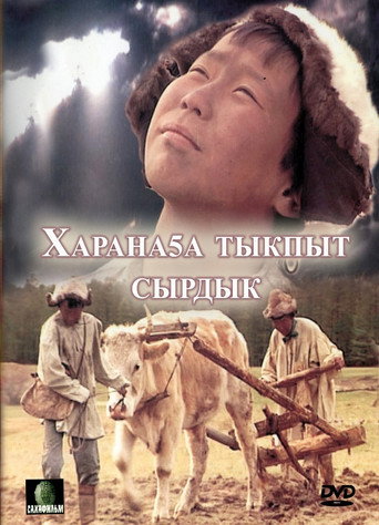 Movie poster for A Light in the Darkness (2003)