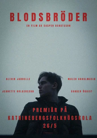 Movie poster for Blodsbröder