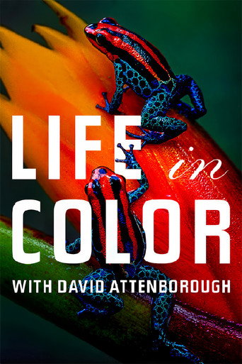 Series poster for Attenborough's Life in Colour (2021)