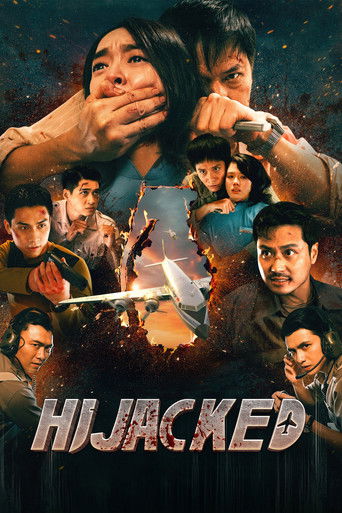 Hijacked poster