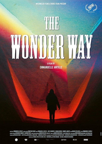 Movie poster for The Wonder Way (2023)