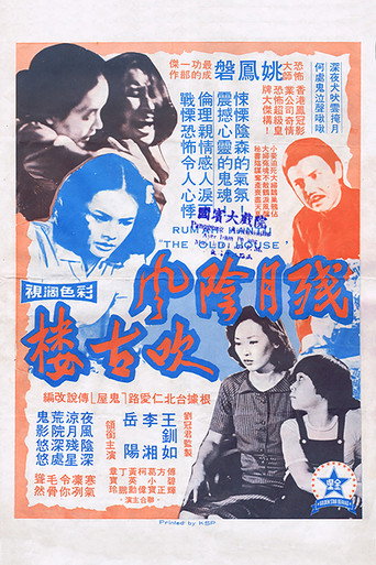 Movie poster for The Old House (1977)
