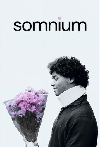 Movie poster for Somnium