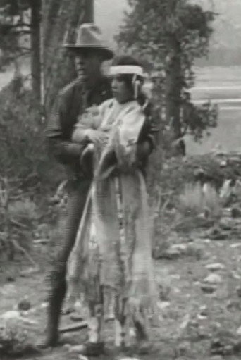 Movie poster for Little Dove's Romance (1911)