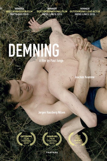 Movie poster for Demning (2015)
