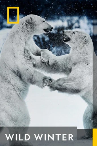 Series poster for Wild Winter (2024)