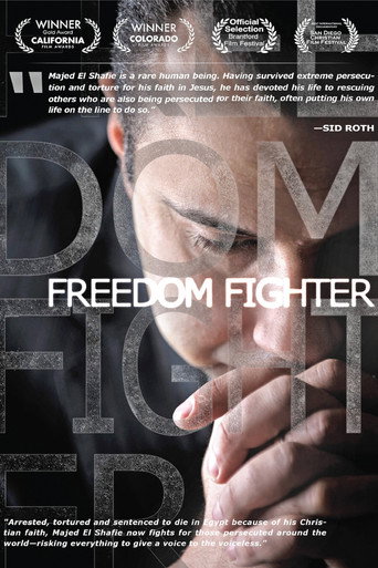 Movie poster for Freedom Fighter (2012)