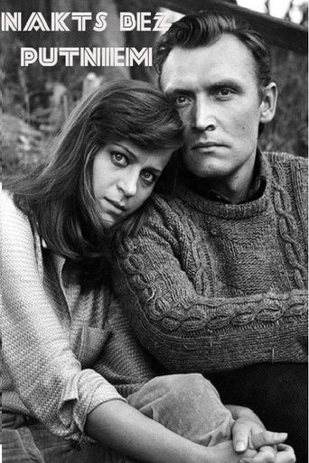 A Birdless Night poster