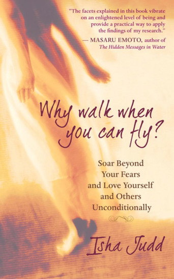 Movie poster for Why Walk When You Can Fly? The Movie