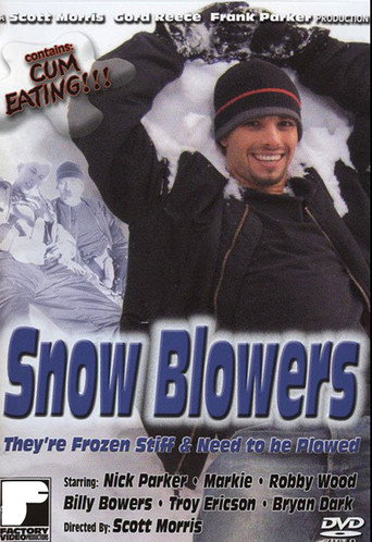 Movie poster for Snow Blowers (2005)