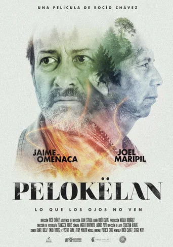 Movie poster for Pelokëlan (2024)