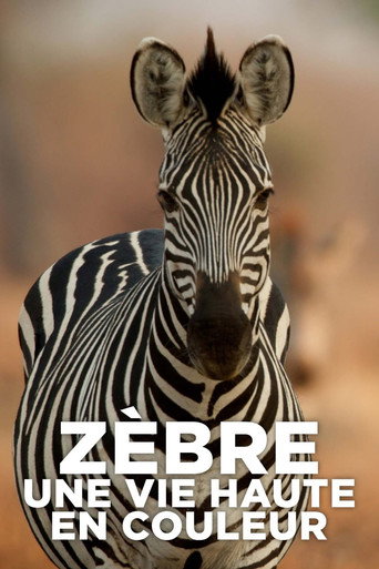 Movie poster for Zèbre, une vie haute en couleur (2022)