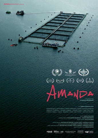Movie poster for Amanda (2023)