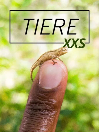 Movie poster for Super Small Animals (2017)
