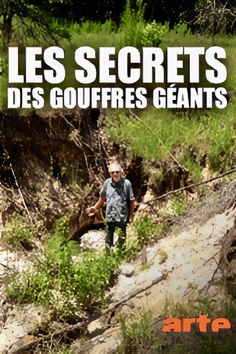 Movie poster for Les secrets des gouffres géants (2015)