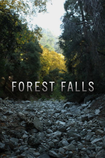 Movie poster for Forest Falls (2011)