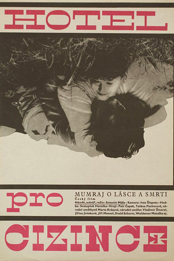 Hotel for Strangers poster