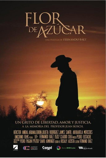 Movie poster for Sugar Fields (2016)