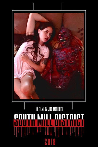 Movie poster for South Mill District (2018)