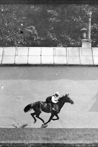 Movie poster for Cheval Noir Monté, Galop (1899)
