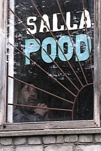 Movie poster for A View from the Mountain (2006)