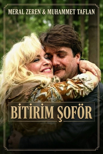 Movie poster for Bitirim Şoför (1996)