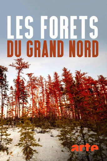 Movie poster for Les forêts du Grand Nord (2020)