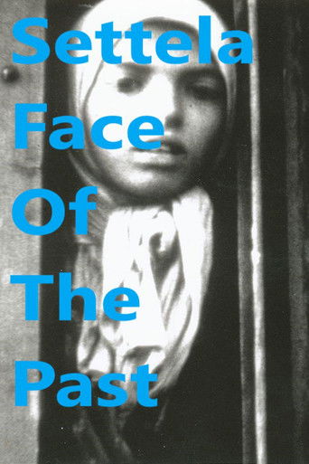 Settela: Face of the Past poster