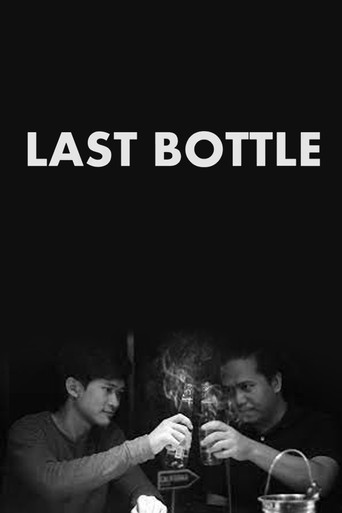 Movie poster for Last Bottle (2017)