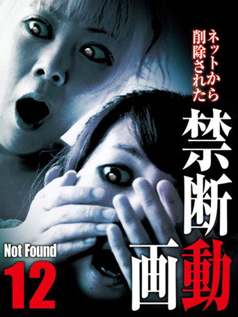 Not Found 12 poster