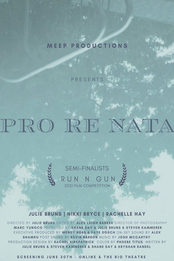 Movie poster for Pro Re Nata