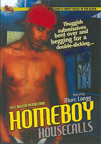 Movie poster for Homeboy Housecalls (2009)