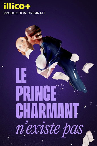 Series poster for Le prince charmant n'existe pas (2025)