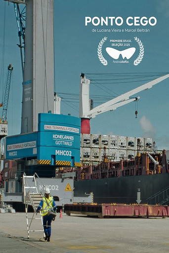 Ponto Cego poster