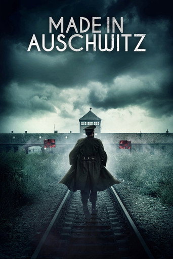 Movie poster for Made in Auschwitz: The Untold Story of Block 10 (2019)