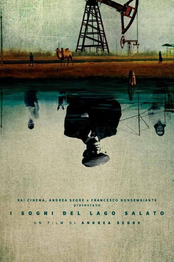 Movie poster for Dreams of the Salt Lake (2015)