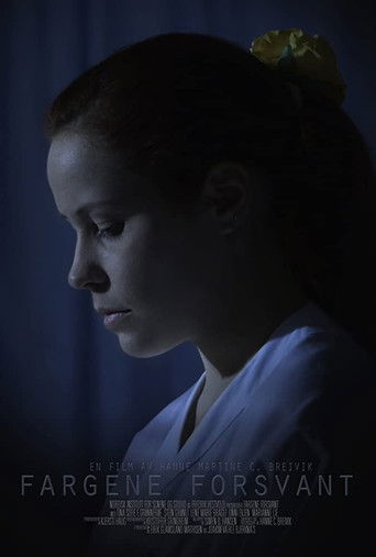 Fargene Forsvant poster