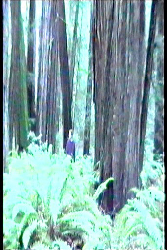Movie poster for Dreamer (1999)