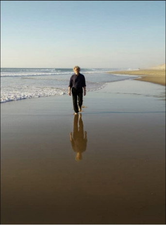 Movie poster for The Longing of Michael Dudok de Wit (2016)